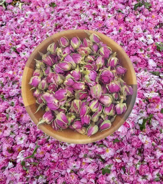 فروش مبل سلطنتی بدون عسلی|مبلمان خانگی و میز عسلی|کاشان, امام خمینی|دیوار