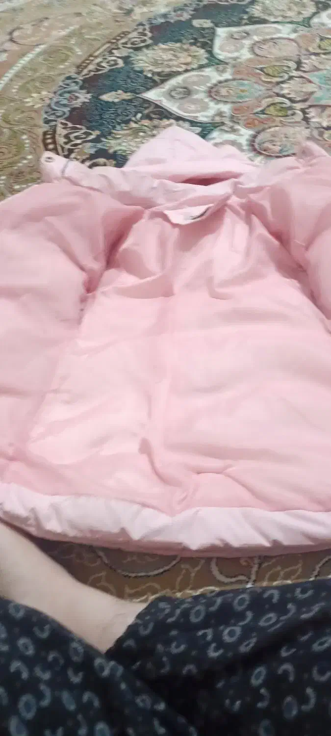 کاپشن نو نو|لباس|نورآباد, |دیوار