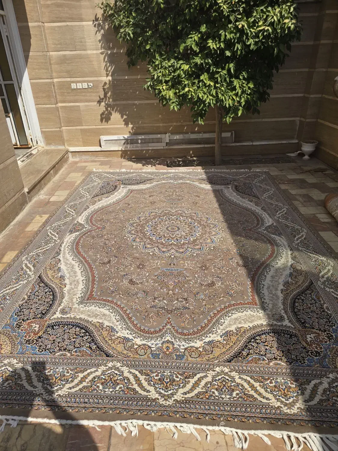 یک جفت قالی دست دوم 700 شانه گردویی|فرش|مهریز, |دیوار