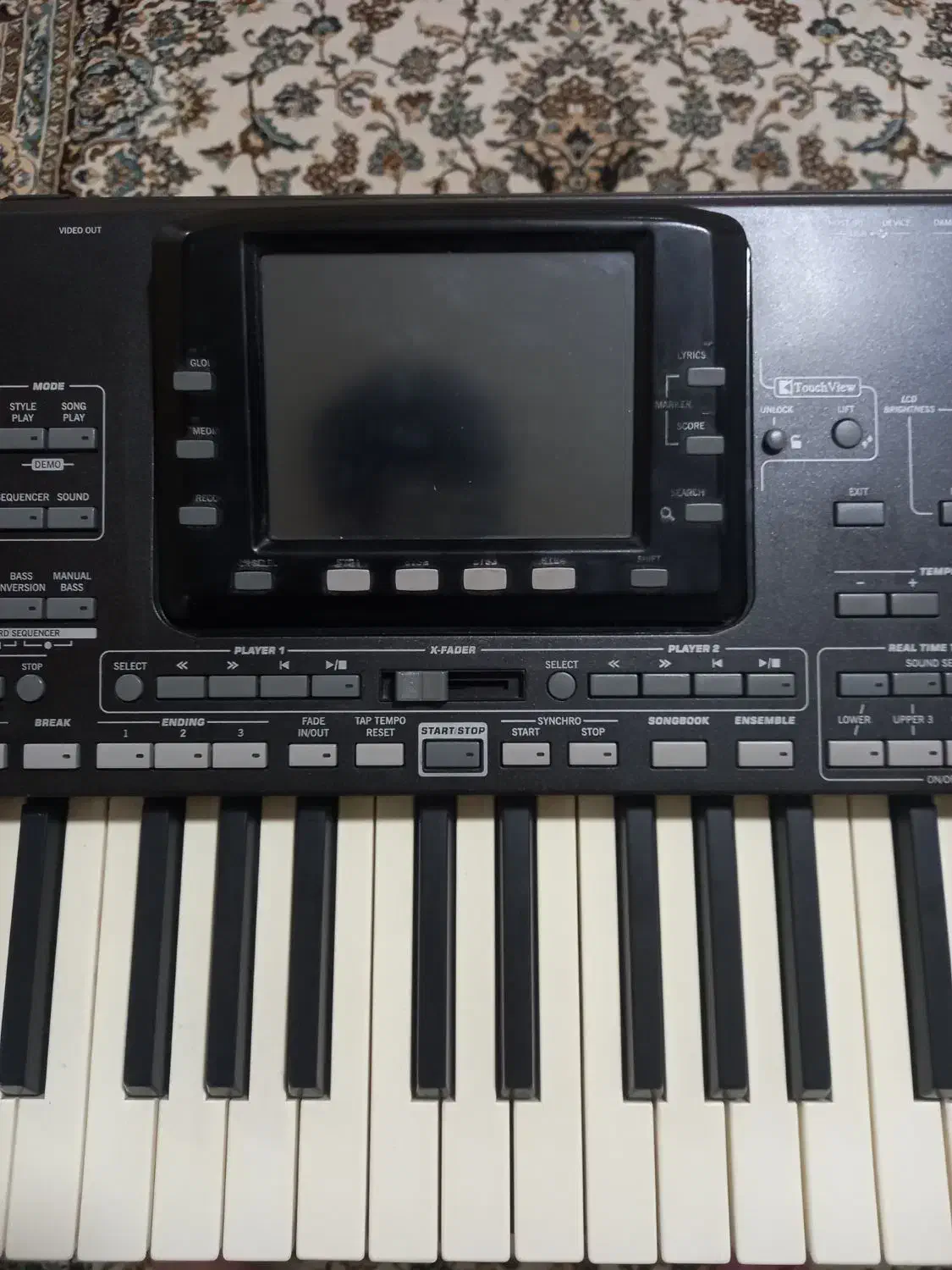 pa3x 61|پیانو، کیبورد، آکاردئون|اردبیل, |دیوار