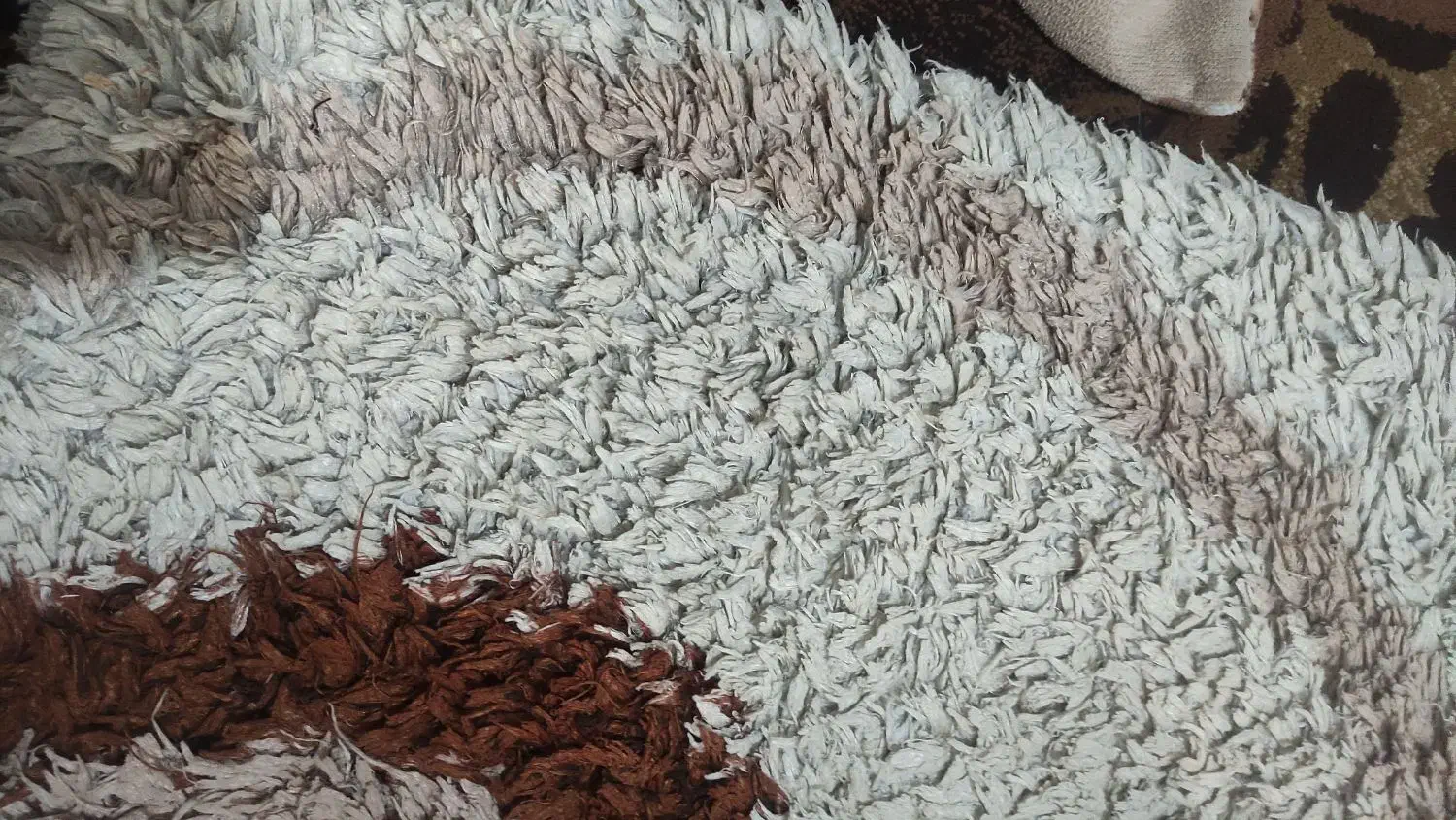 گلیم شگی نونو قیمت ۴۰۰هزار|گلیم، جاجیم، گبه|کرمانشاه, |دیوار