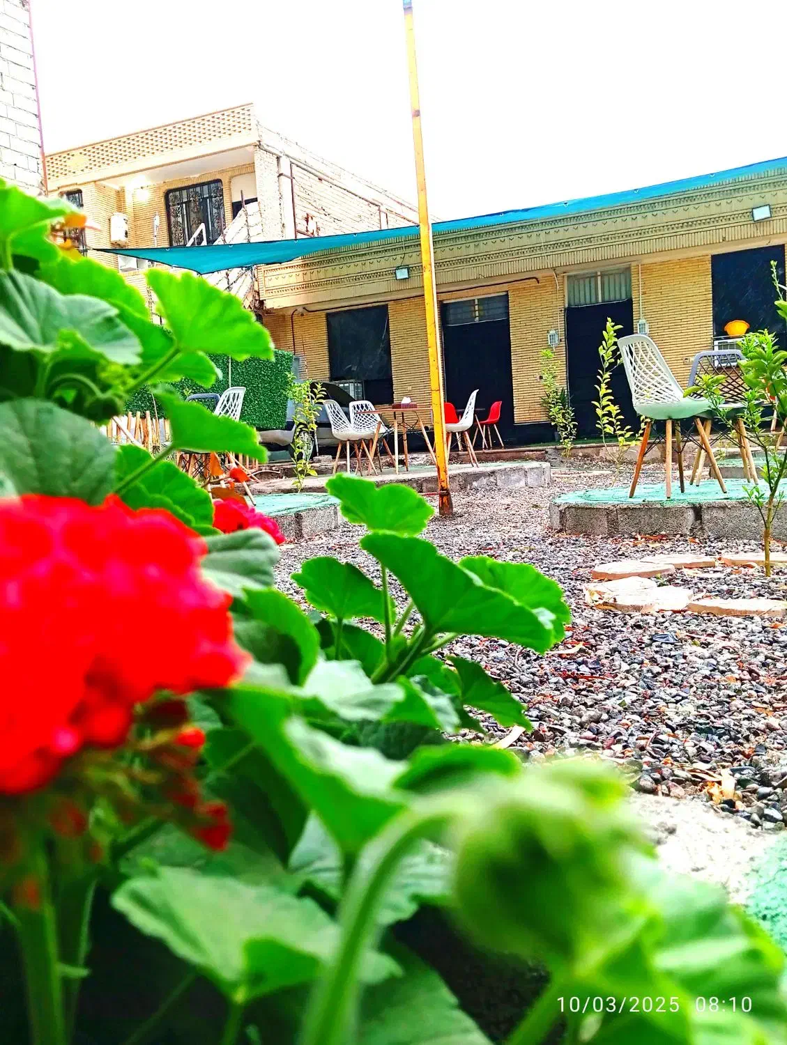 همکار متعهدمنظم جهت کاردر کافه فست فود لئون|استخدام خدمات فروشگاه و رستوران|جیرفت, |دیوار