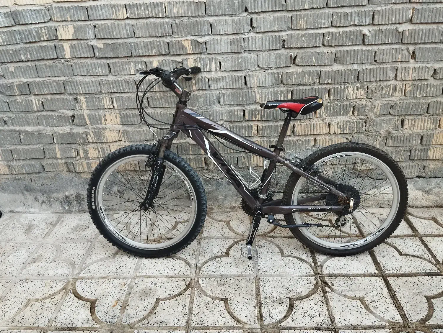 دوچرخه ویوا اصل|دوچرخه، اسکیت، اسکوتر|مرودشت, بیست متری بیمارستان|دیوار