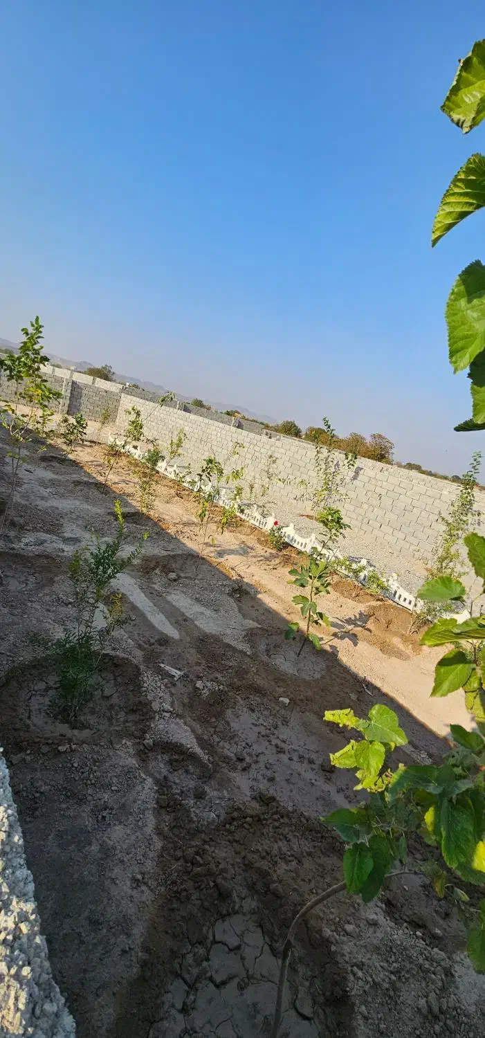 باغچه نقلی زیبا چهار دیواری ۲۰۰متر|فروش زمین و ملک کلنگی|تهران, یافت آباد جنوبی|دیوار