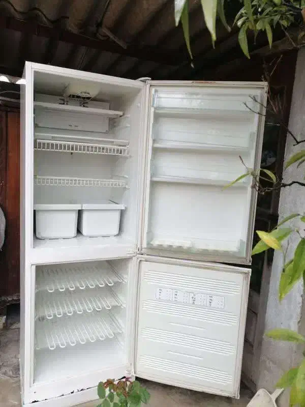 یخچال فریزر سالم و گاز صفحه ای ایتالیایی|یخچال و فریزر|نوشهر, |دیوار