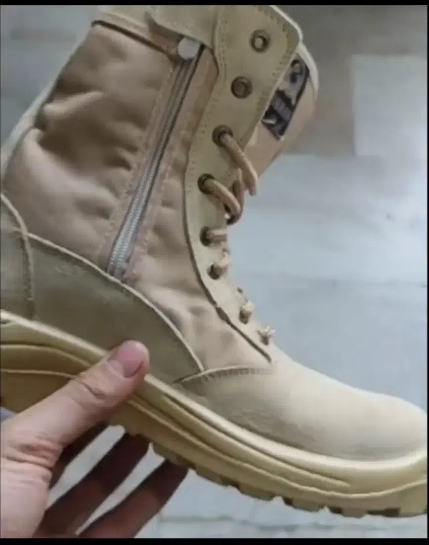 کفش و پوتین|کیف، کفش، کمربند|اهر, |دیوار