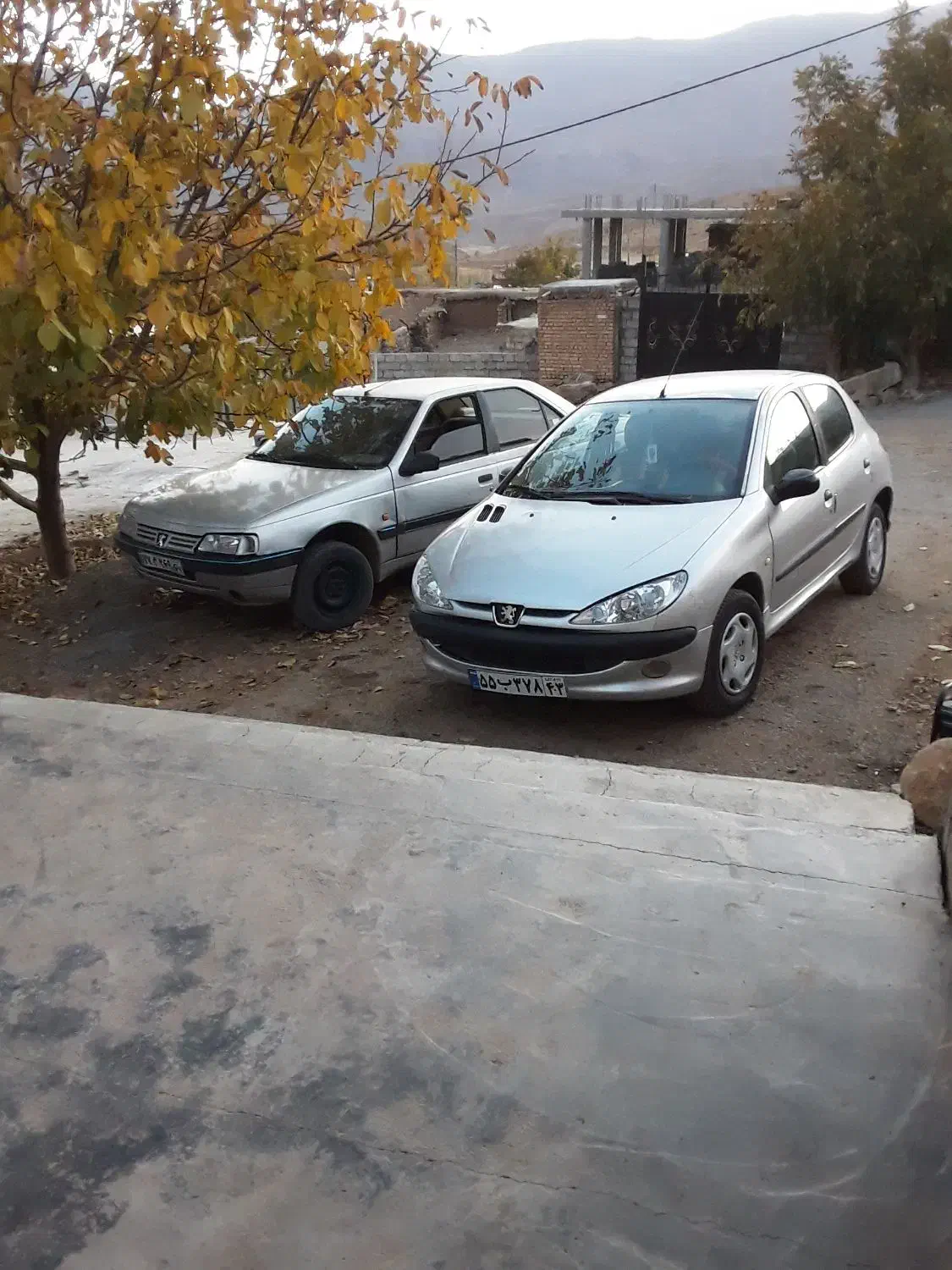 فروش پژو 405 و 206، مدل 1389، سالم و تمیز|خودرو سواری و وانت|چنارود, |دیوار