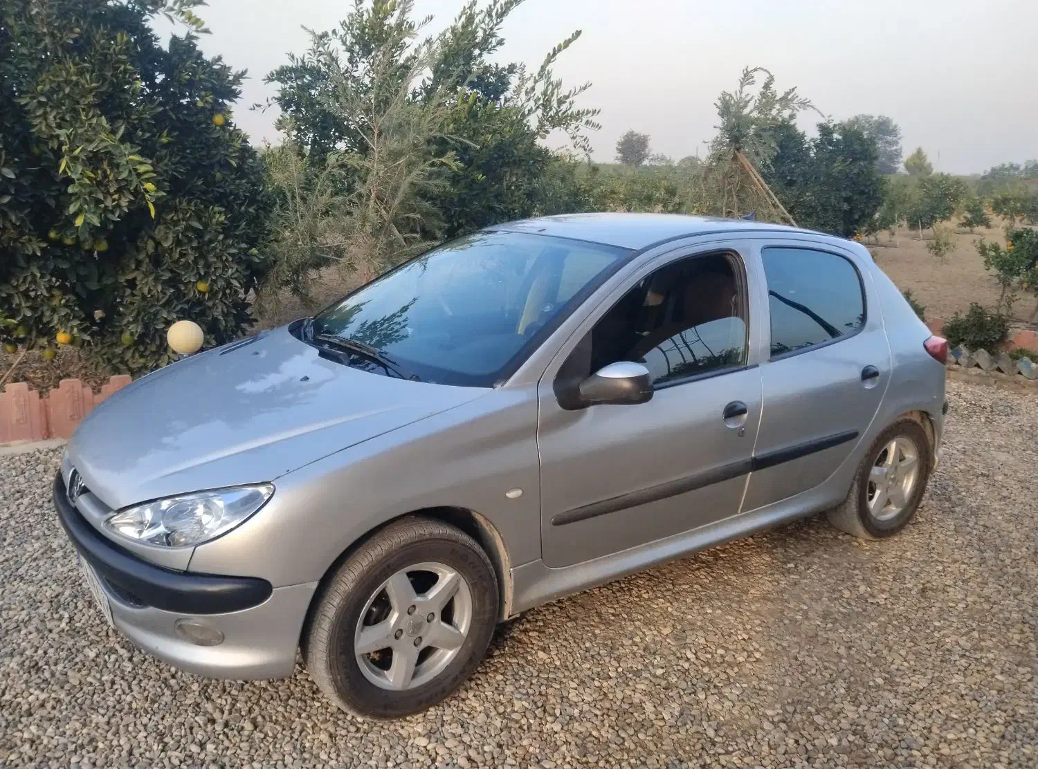 پژو۲۰۶|خودرو سواری و وانت|بهشهر, |دیوار