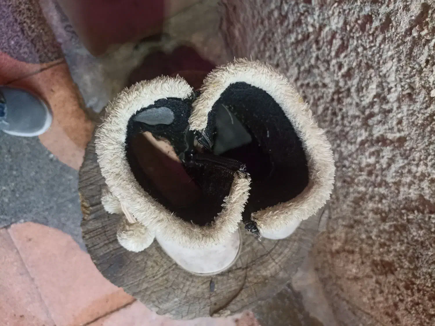 کفش بچگانه 3 جفت و یک عدد دمپایی|کفش و لباس بچه|شیراز, سعدیه شمالی|دیوار