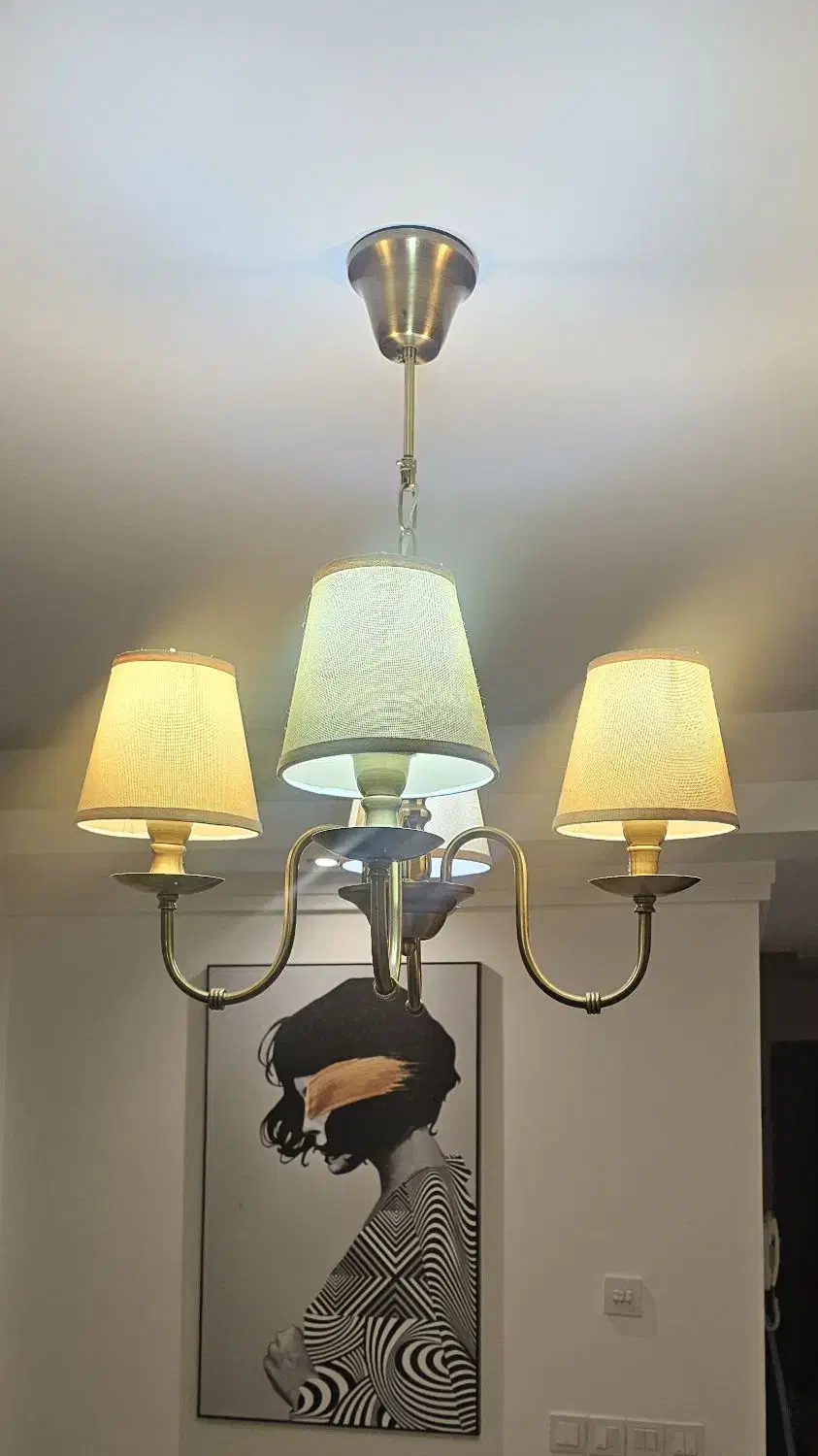 ۲ عدد لوستر ۸ شعله و ۴ شعله|لوستر و چراغ آویز|تهران, درب دوم|دیوار