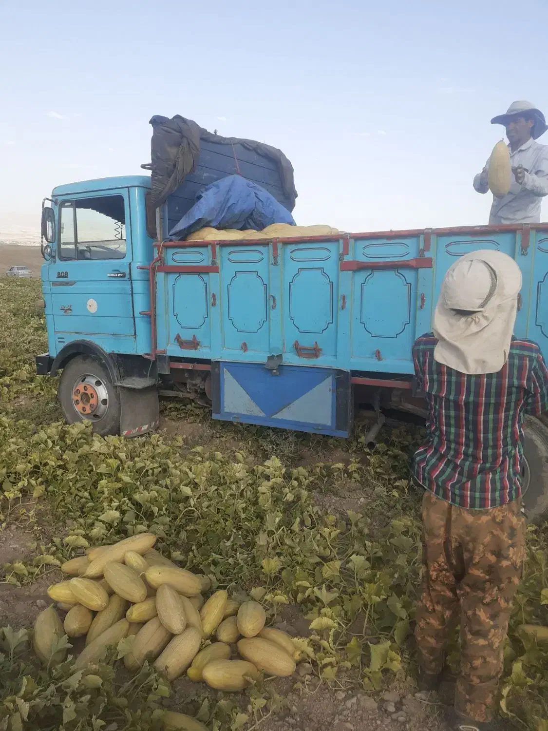 خاور ۸۰۸ باری مدل ۷۱|خودرو سنگین|زنجان, |دیوار