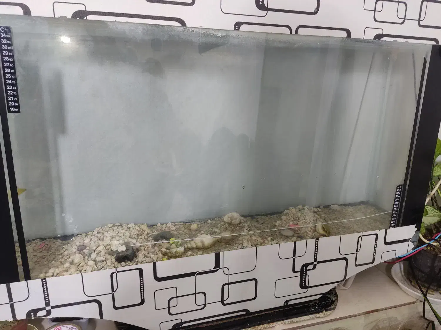 اکواریوم نیازبه تعمیرداره جزئی معاوضه دارم همستر|ماهی|کاشمر, |دیوار