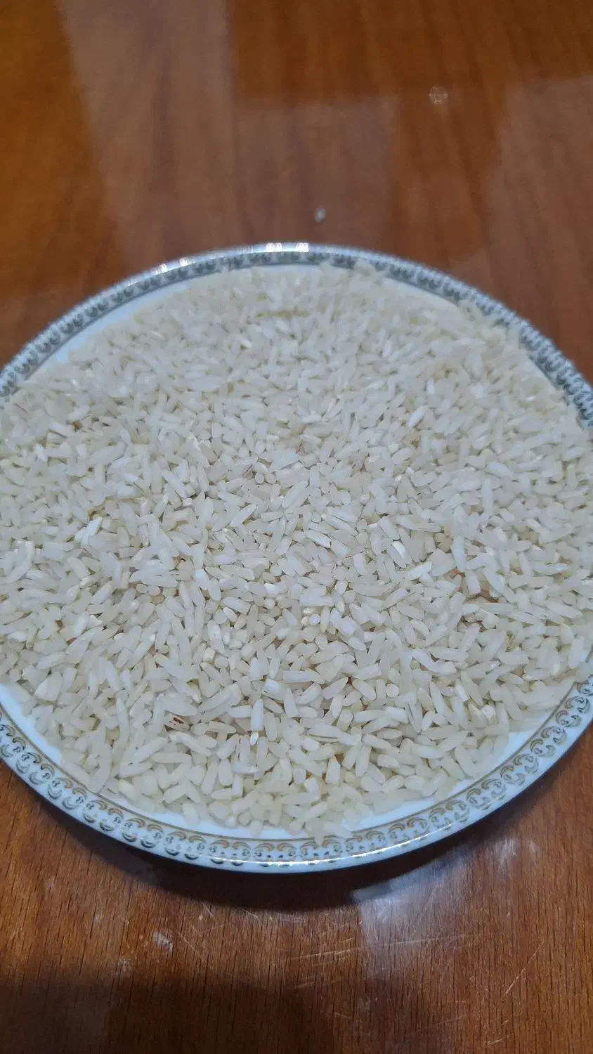 برنج هاشمی (لاشه) محصول تازه|خوردنی و آشامیدنی|رشت, گلباغ نماز|دیوار