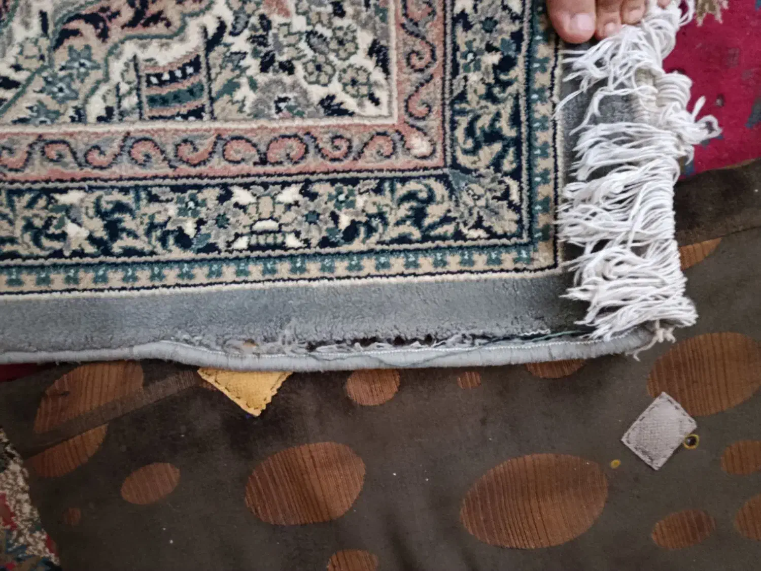 فرش|فرش|مشهد, نکاح|دیوار