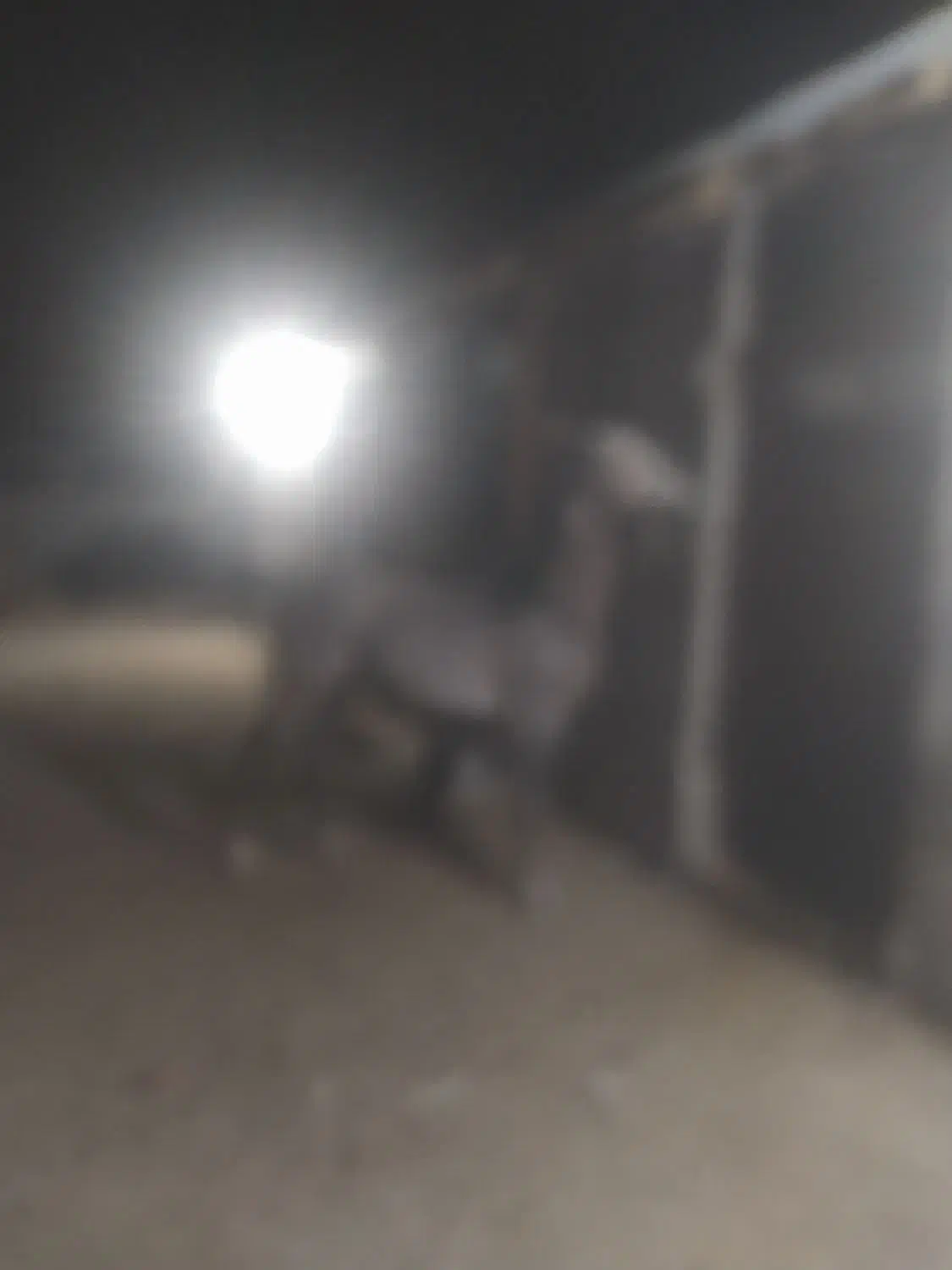 اسب|اسب و تجهیزات اسب‌سواری|دورود, |دیوار