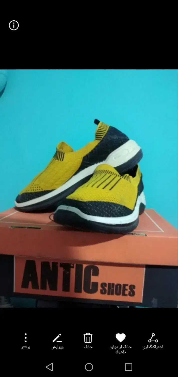 کفش اسکچرز|کیف، کفش، کمربند|قم, سالاریه|دیوار