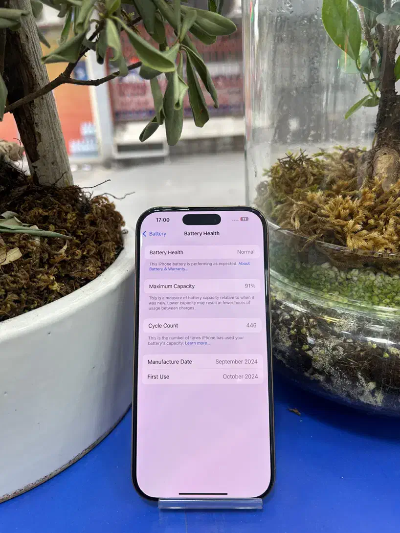 iphone 16 pro|موبایل|قم, چهل درخت‎|دیوار