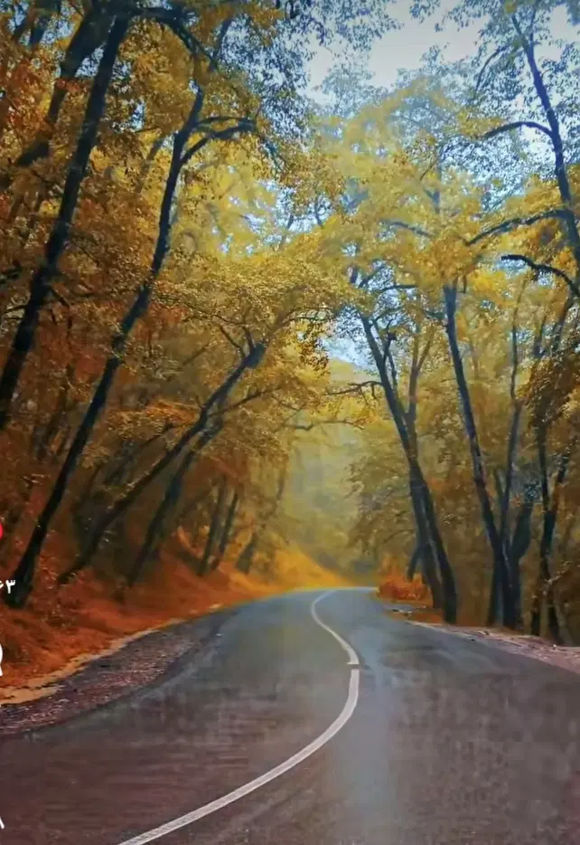 راهنمایی|فعالیت داوطلبانه|کرج, کوی مدرس|دیوار