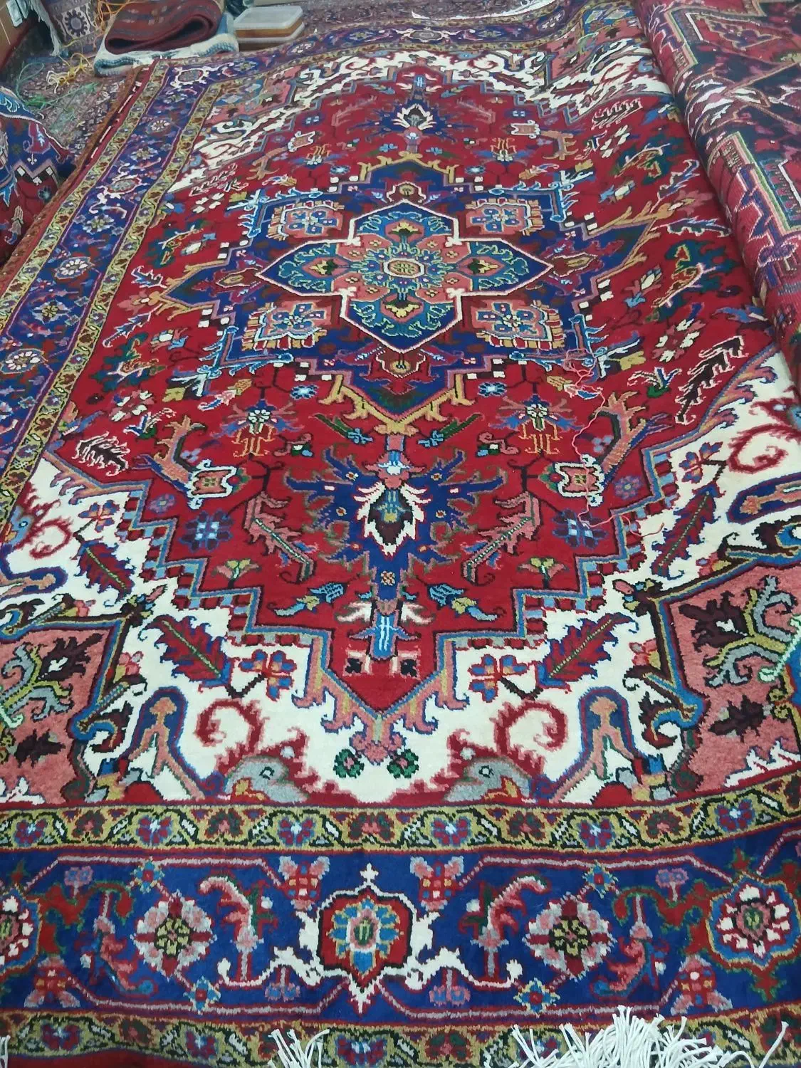 ۶ متری جفت|فرش|میانه, |دیوار
