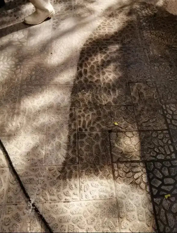 کفسابی سنگسابی سابزن|خدمات نظافت|کرج, گلشهر|دیوار