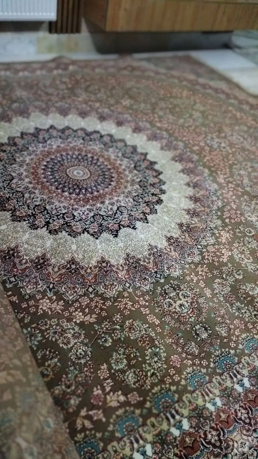 فرش12 متری 700 شانه|فرش|گرگان, |دیوار