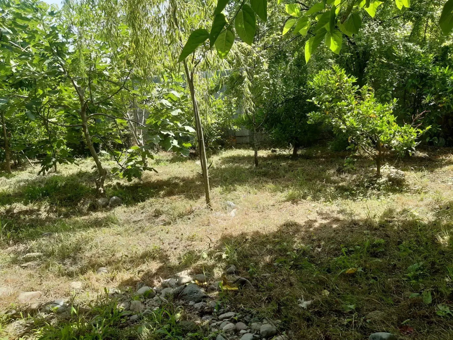 خانه سنتی|فروش خانه و ویلا|رودبنه, |دیوار