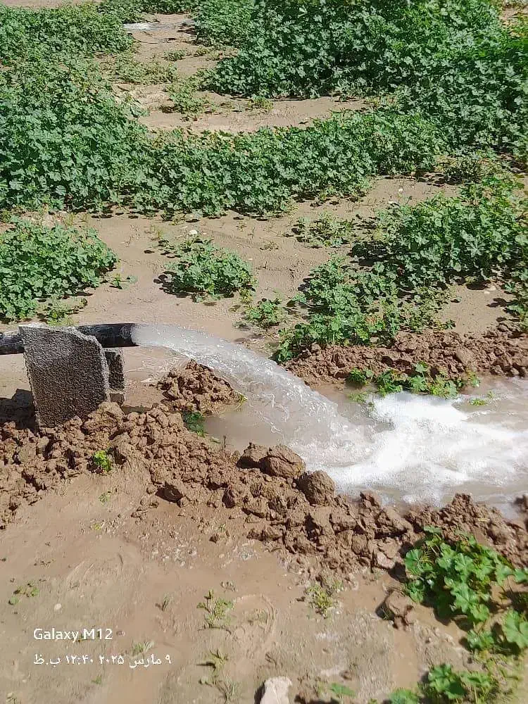 حفاری چاه به وسیله لوله زدن|خدمات باغبانی و درختکاری|بوشهر, |دیوار