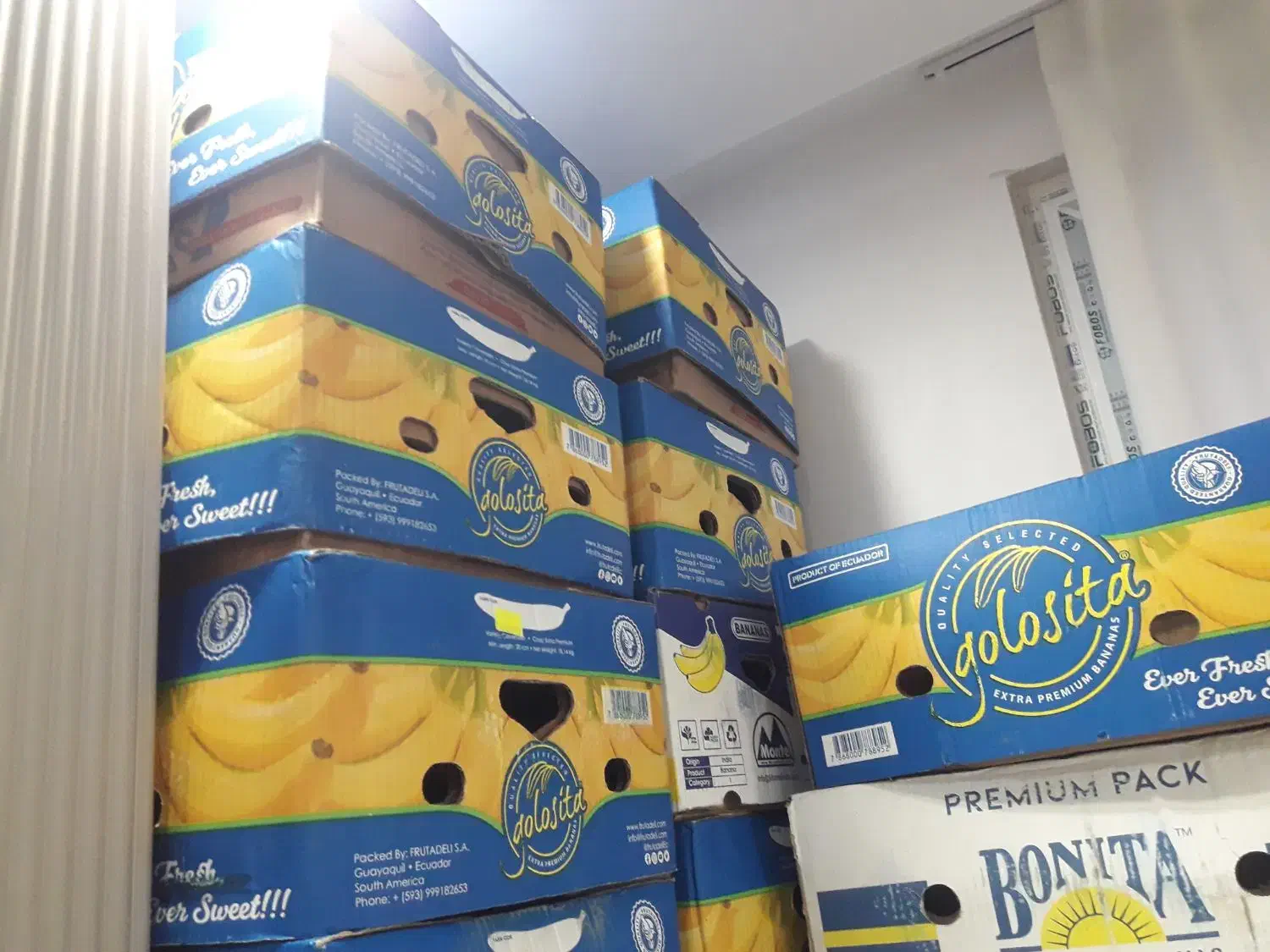 کارتون موز|حراج|اراک, |دیوار