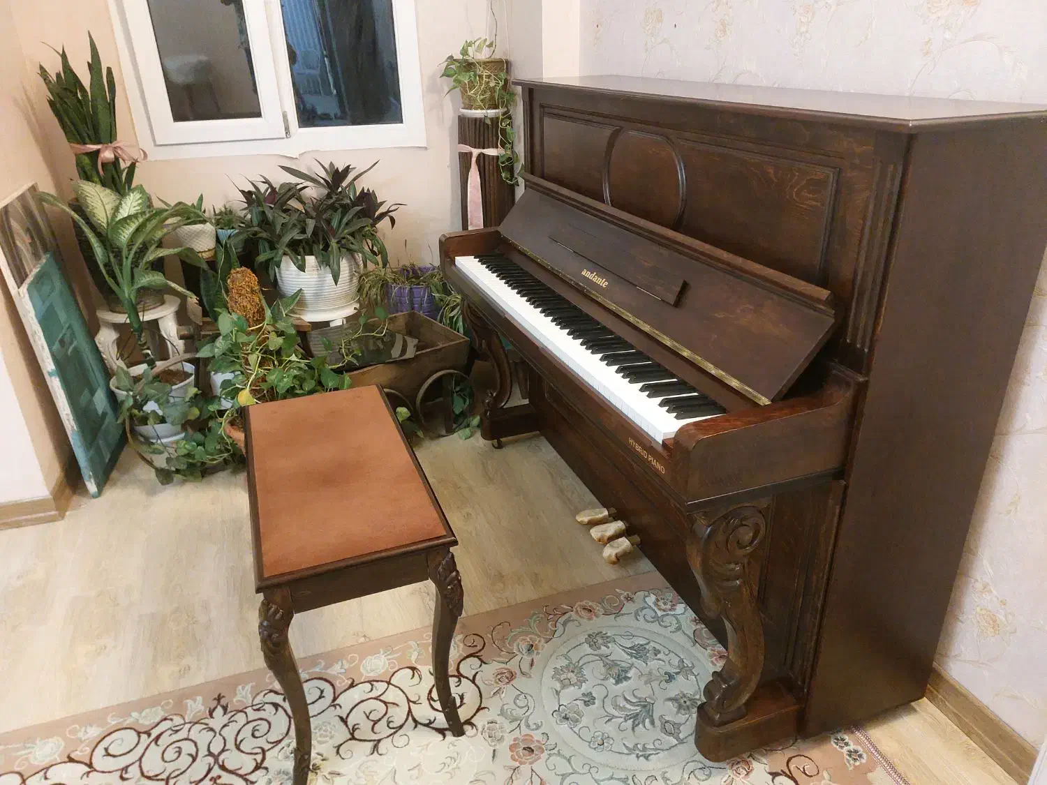 آموزش سلفژ، موسیقی و پیانو|خدمات آموزشی|قوچان, |دیوار