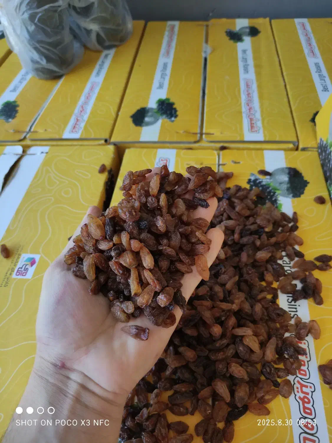 خشکبار کشمش و گله کاشمر احمد صمدی عبادی91|خوردنی و آشامیدنی|مشهد, عبادی|دیوار