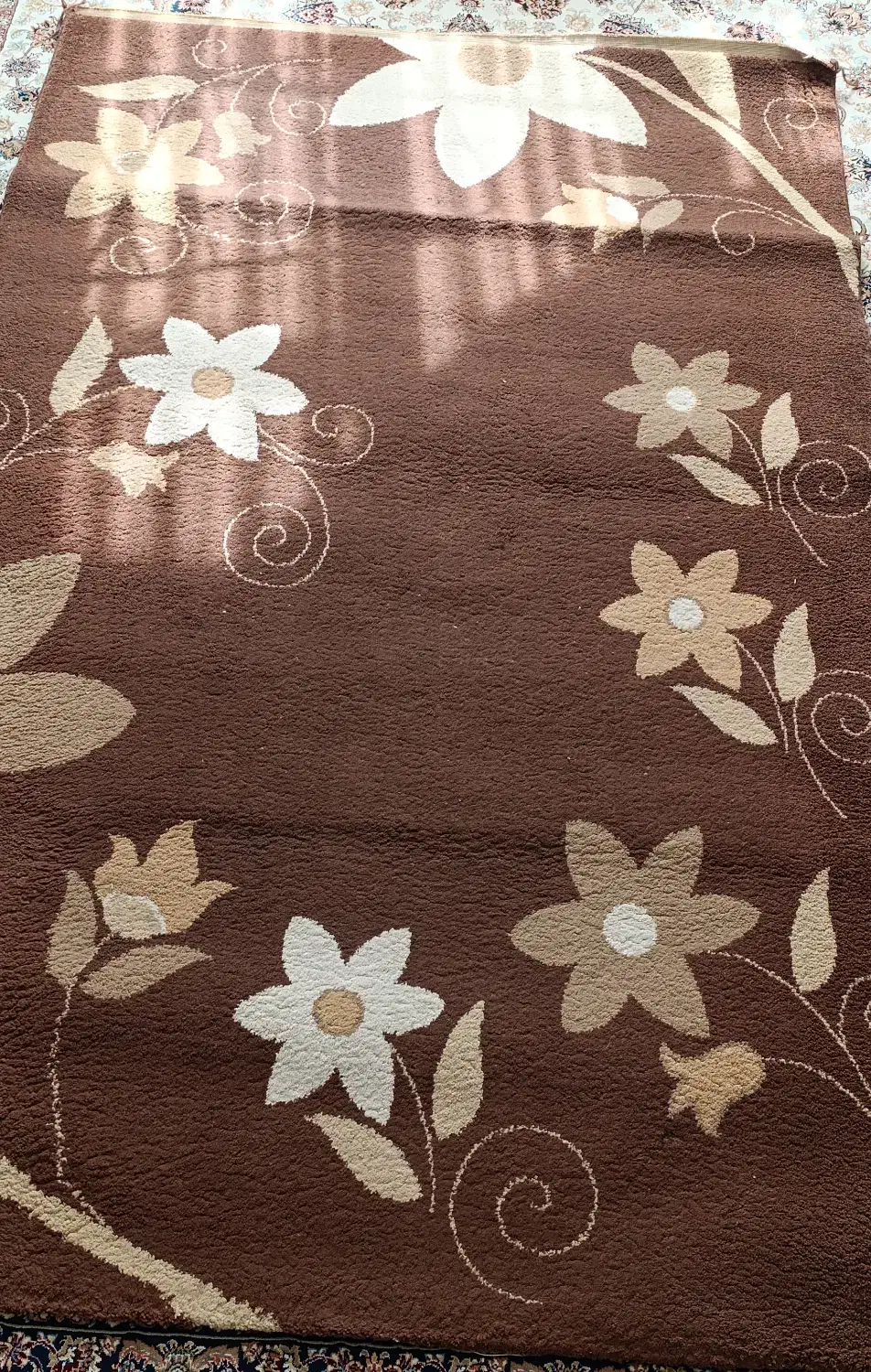 فرش فانتزی|فرش|مشهد, شهرآرا|دیوار