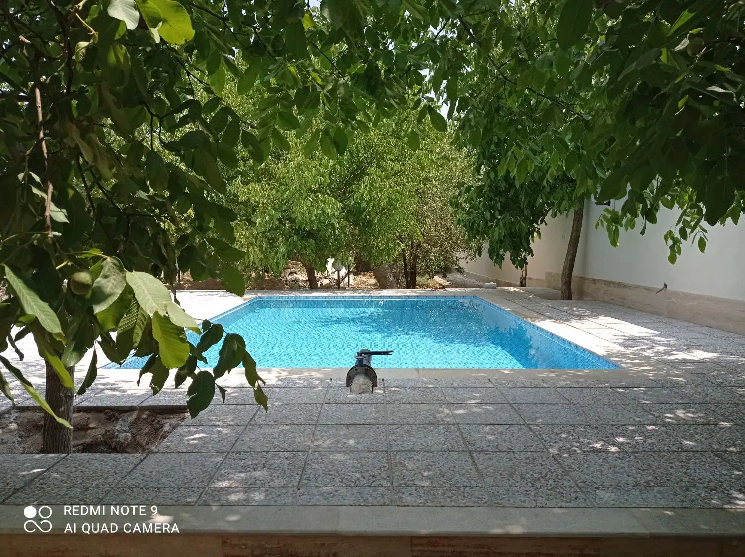 اجاره باغ و ویلا|اجارهٔ کوتاه‌مدت ویلا و باغ|شیراز, علوم پزشکی|دیوار