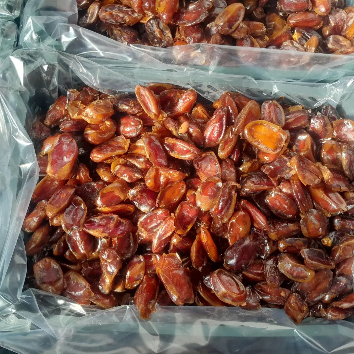 خرما درجه یک بدون هسته|خوردنی و آشامیدنی|کوهدشت, |دیوار