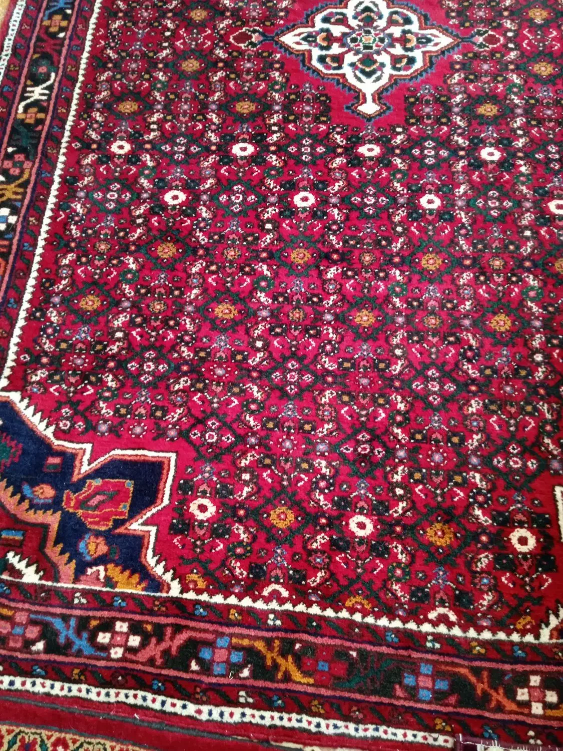 فرش 6متری|فرش|ملایر, |دیوار