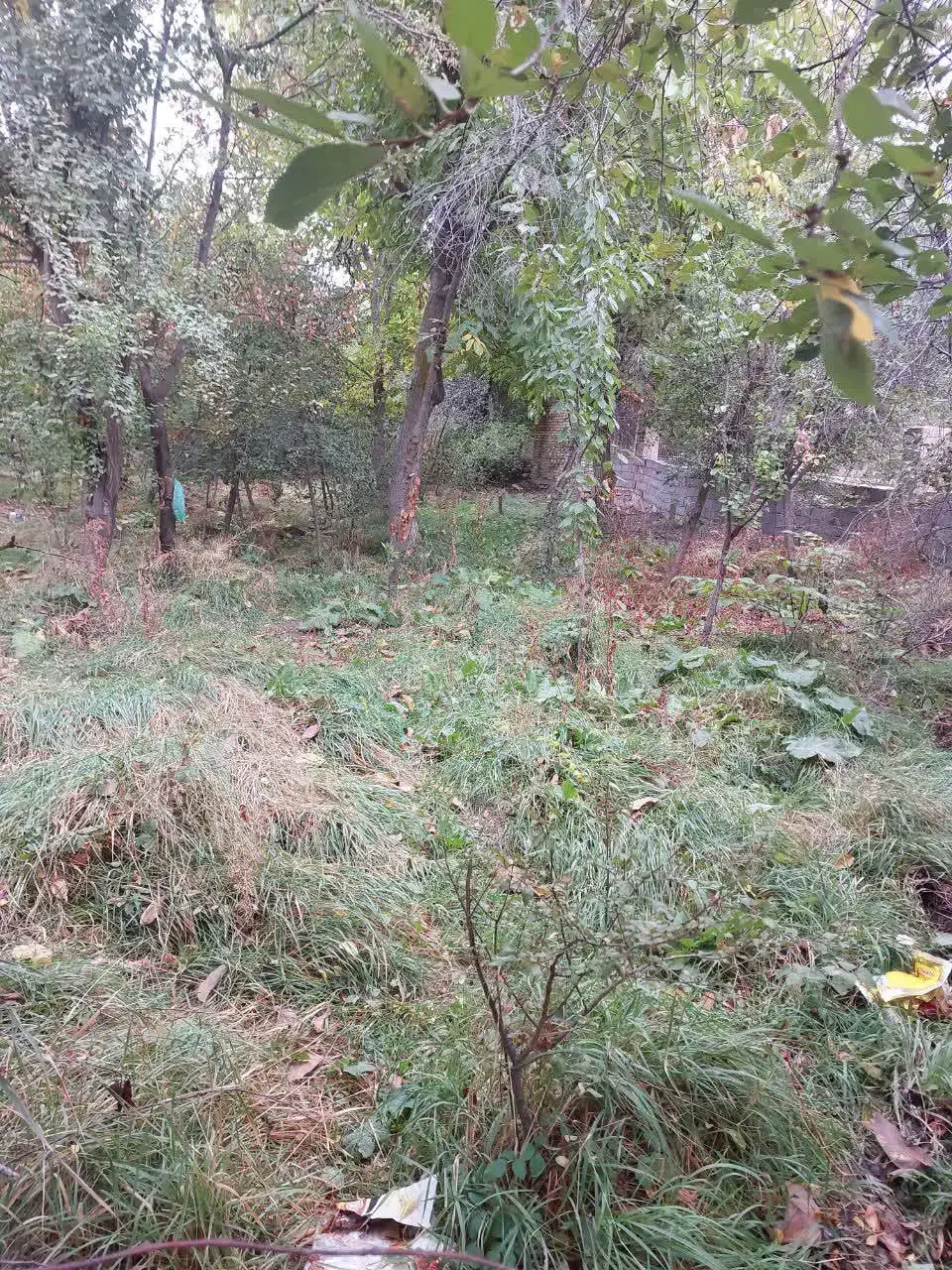 باغچه نقلی ۲۵۰ متری داخل شهرگلمکان|فروش خانه و ویلا|گلمکان, |دیوار