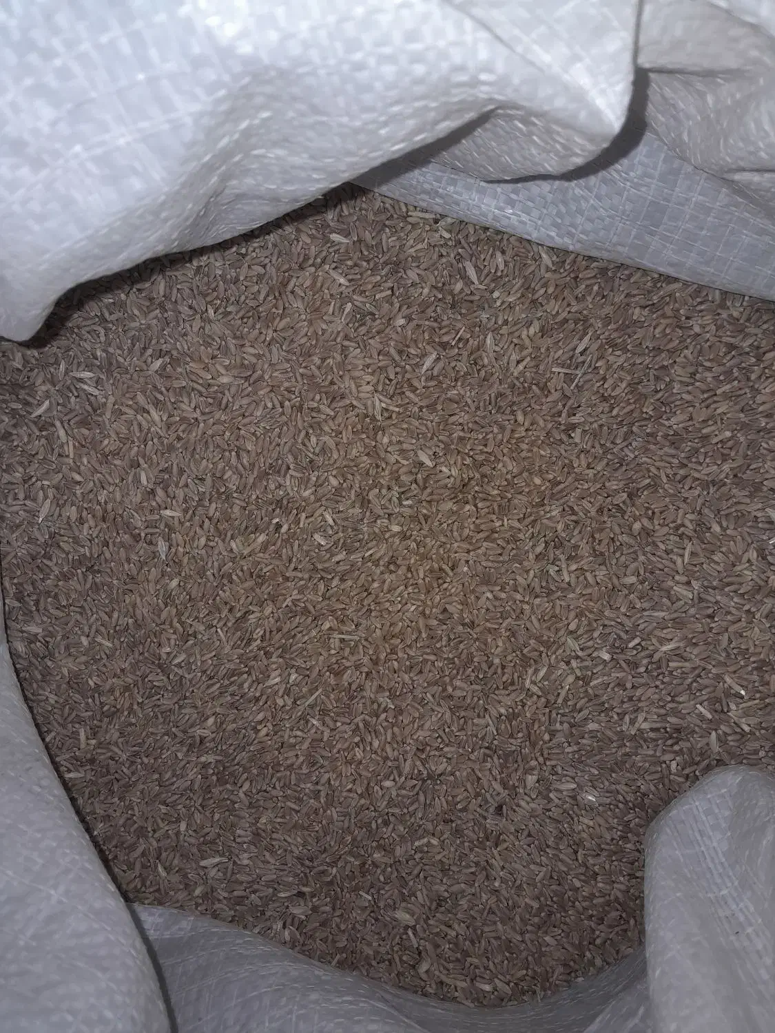 گندم|خوردنی و آشامیدنی|میان جلگه, |دیوار