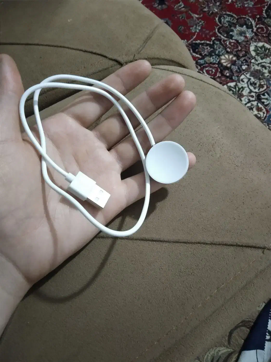 ساعت اپل واچ|ساعت|شیراز, شیخ علی چوپان|دیوار