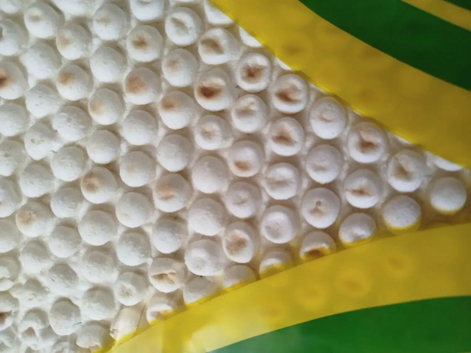 نان لواش صنعتی کُردزار با سیب سلامت بهداشتی|خوردنی و آشامیدنی|تهران, امیریه|دیوار