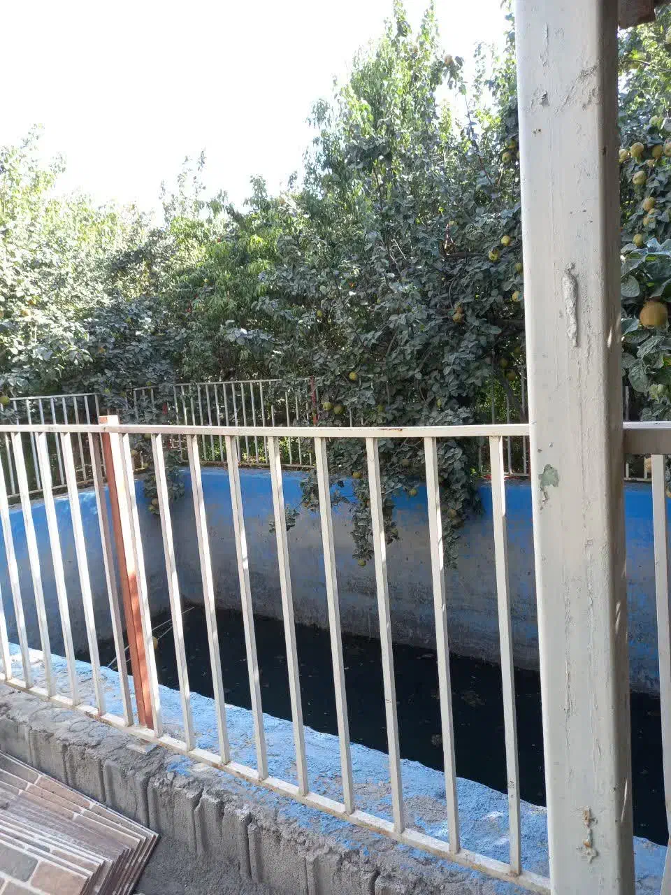 باغ با چاه آب و برق از خودش|فروش زمین و ملک کلنگی|پیر بکران, |دیوار