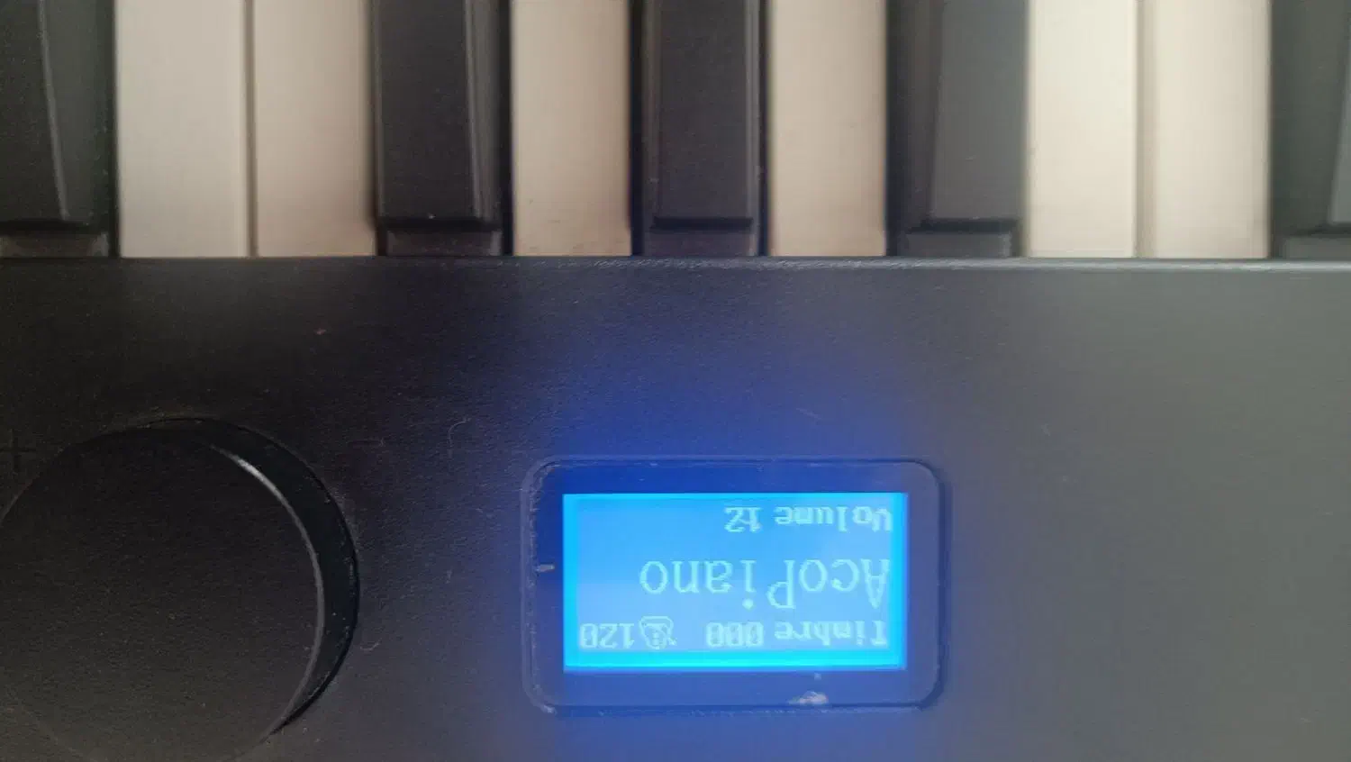 پیانو تاشو سوزوکی|پیانو، کیبورد، آکاردئون|ایلام, |دیوار