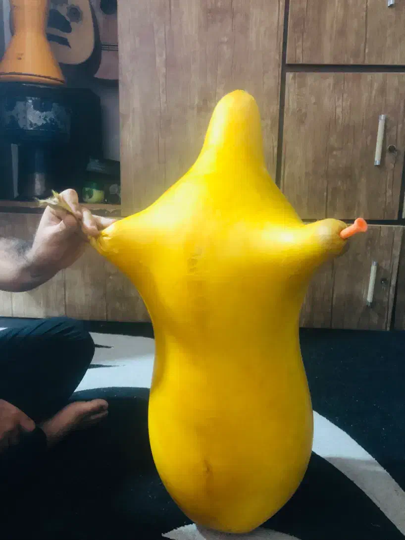 نی انبان|سازهای بادی|خرمشهر, |دیوار