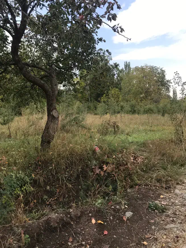 باغ فیرورق|فروش زمین و ملک کلنگی|فیرورق, |دیوار