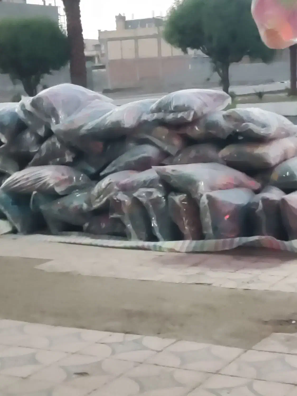 بالش اقتصادی با بهترین قیمت|رختخواب، بالش، پتو|ایرانشهر, |دیوار