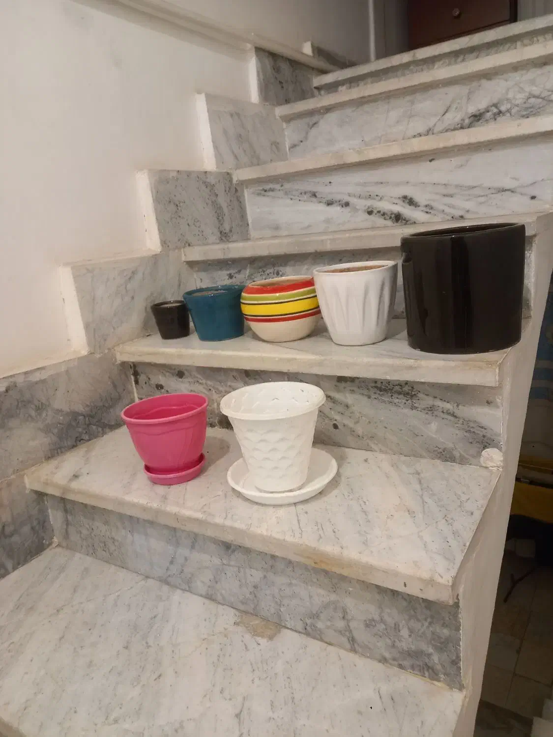 گلدان سفالی،فایبرگلاس،سرامیکی،پلاستیکی|گل و گیاه طبیعی|قدس, شهرقدس|دیوار