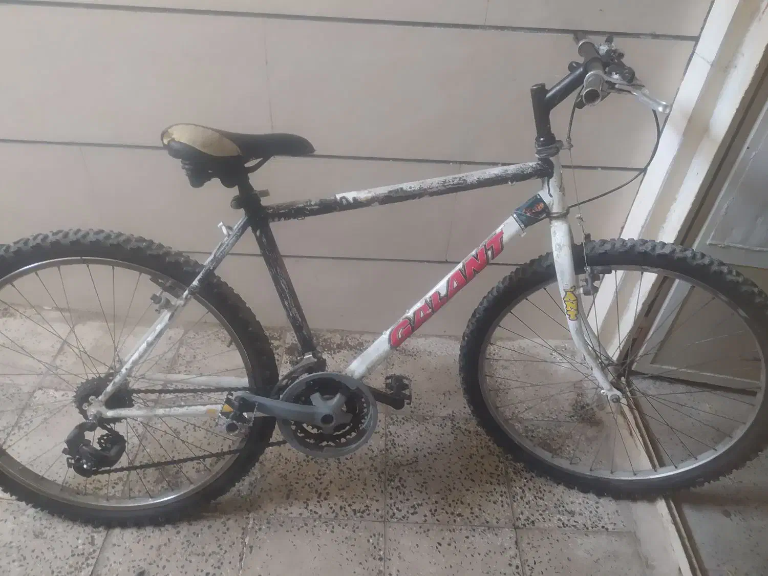 چرخ|دوچرخه، اسکیت، اسکوتر|ملایر, |دیوار