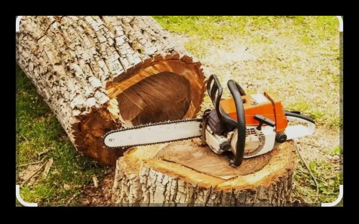 چوب بری و قطع درخت به صورت تخصصی|خدمات باغبانی و درختکاری|اصفهان, آبشار|دیوار