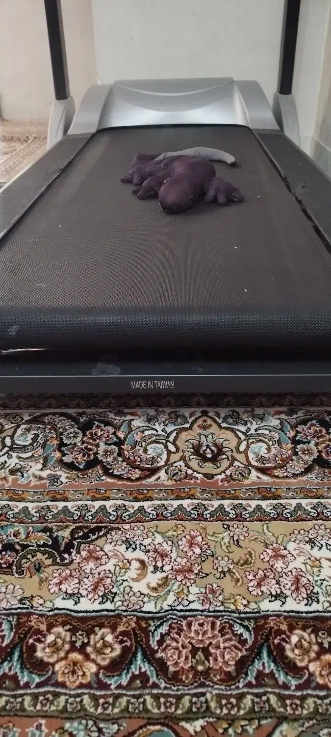 تردمیل تایوانی|تجهیزات ورزشی|تهران, شهرک دریا|دیوار