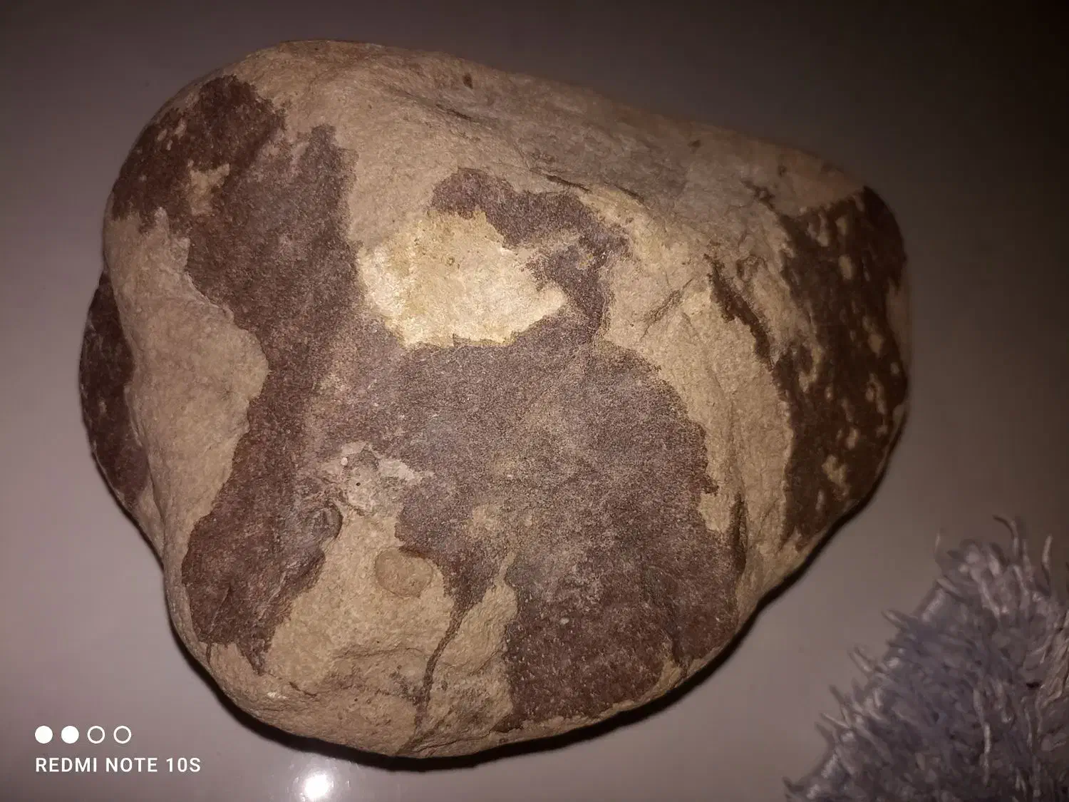 راهنمایی درمورد سنگ|فعالیت داوطلبانه|مشهد, الهیه|دیوار