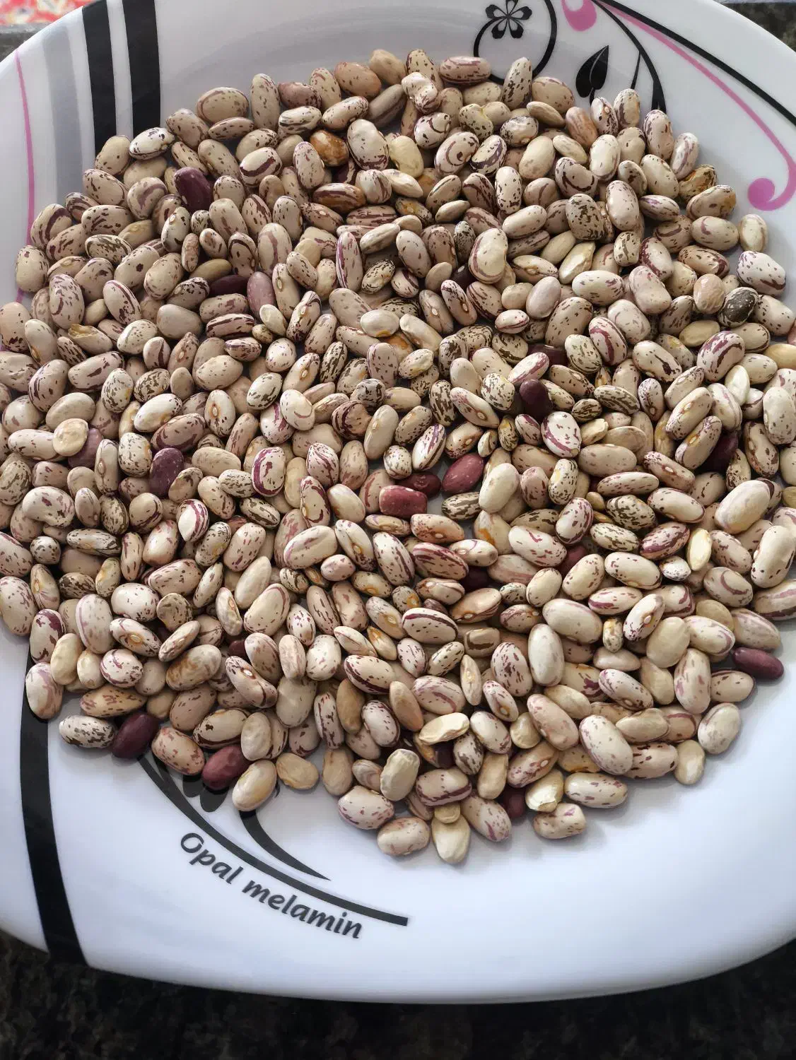 لوبیا چیتی|خوردنی و آشامیدنی|بیرانوند, |دیوار