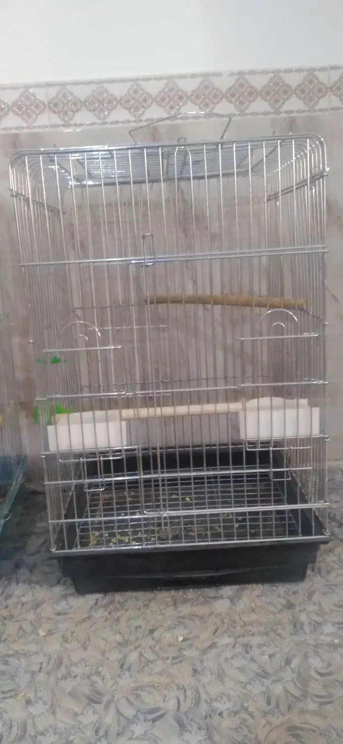 قفس ۱۰۳۳|لوازم جانبی حیوانات|مشکین‌دشت, |دیوار